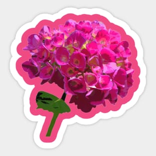 Pink Hydrangea Flower Sticker